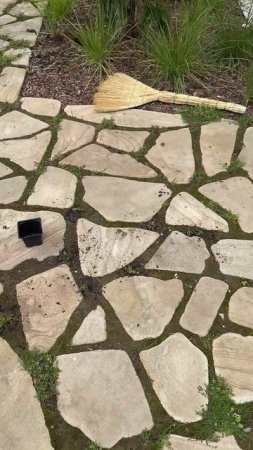 Что мы высадили в швах на площадке между дорожками?