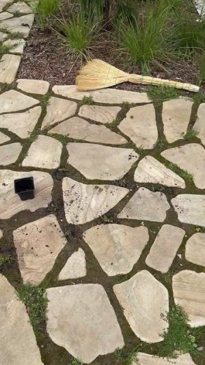 Что мы высадили в швах на площадке между дорожками?