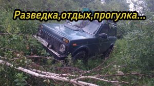 Еду на разведку УЖД.Цена еще упала...