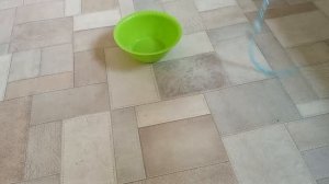 Знакомство с питомцами!