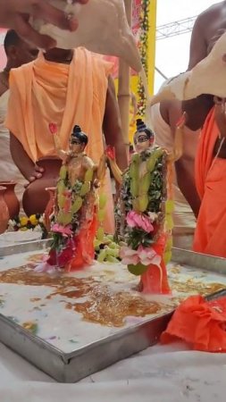 2024 || Gaura Purnima Festival #mayapur #gaurapurnima #festival #abhishek #shorts