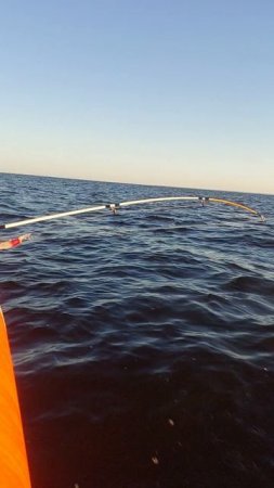 Гидра Дельта 380 + Тоха 9.8 4т