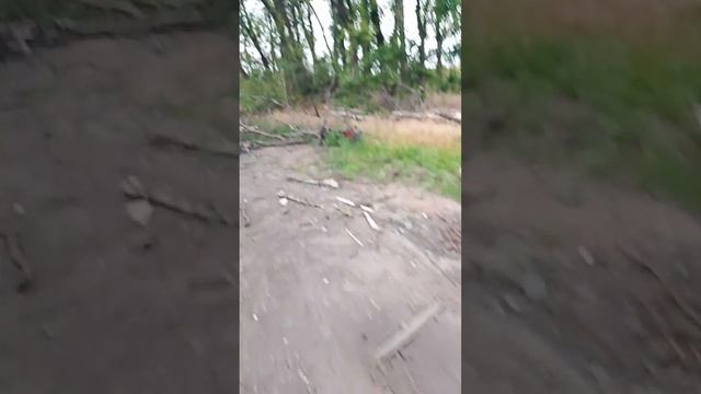 прогулка по дороге на СВО смотреть онлайн