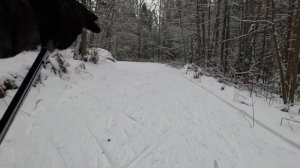 Гарболовская лыжня «Наша Трасса»