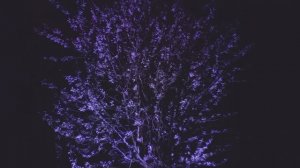 SHEXPIR - u not alone