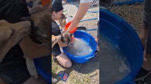 Небольшая музыкальная пауза