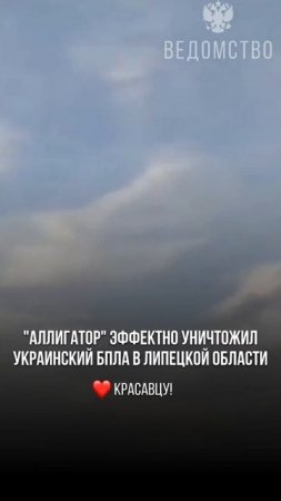 "Аллигатор" на страже неба России!