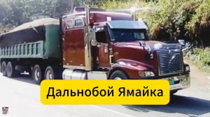 Траки для перевозки тростника и тяжелые грузовики поднимаются по крутым холмам шоссе Уинстона Джонса