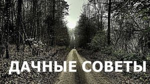 Дачные Советы  5