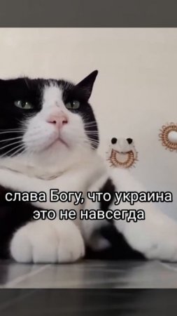 Слава Богу