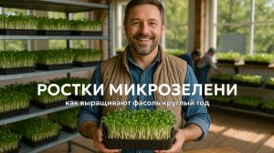 Как выращивать ростки фасоли и получать урожай круглый год 🫛