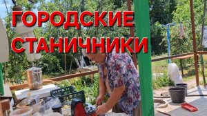 631 Переезд из города в станицу. Поменяли.Помогаем друг другу  Если бы была человеком.