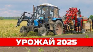 Урожай 2025: итоги уборки с использованием техники MEDVED!