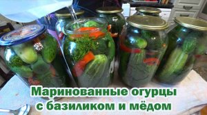 Маринуем огурцы с базиликом и мёдом
