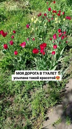 май 2025