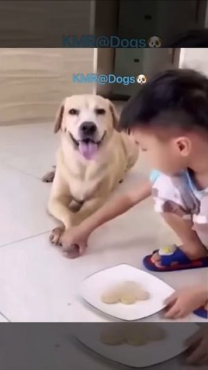 Нечистый на лапу друг😂