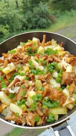 Вкусный ужин 🤤🥘 Картофель с лисичками #ужин #вкусно #еда #питание