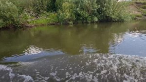 с последней точки лова возвращаемся..РЫБКА есть.