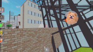 СКИБИДИ ТУАЛЕТЫ В РОБЛОКС ! НОВЫЕ МОРФЫ РАДУЖНЫЕ ДРУЗЬЯ УНИТАЗЫ В ROBLOX