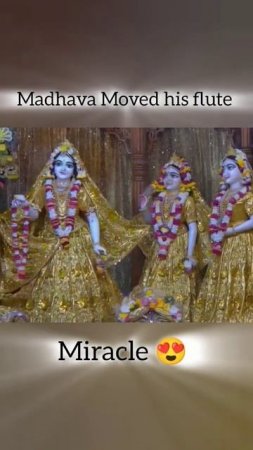 Madhava moved his flute  #mayapur #miracle #viral #flute #shorts