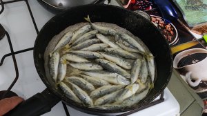 Рыбалка на Чёрном море. Ловим ставриду на самодур.