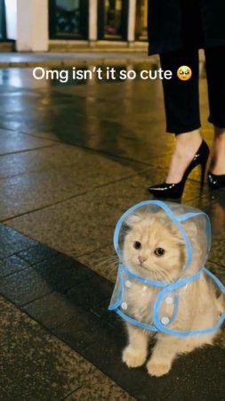 дождливая погода☔