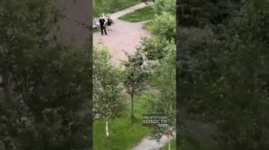 Санкт-Петербург: неадекват напал на соседей с мачете и ножом.