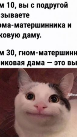 scene_output.mp4