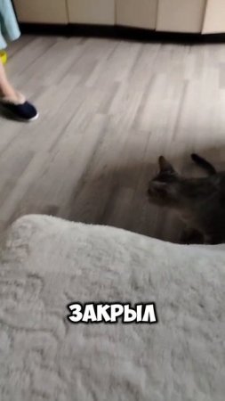 Сёма и Марсель 9 серия