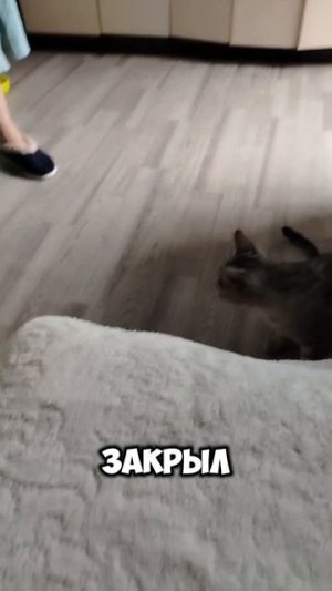 Сёма и Марсель 9 серия