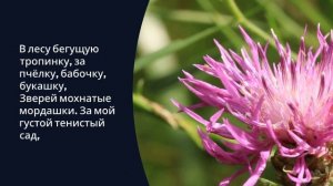 ОЧЕНЬ СИЛЬНОЕ, ДУШЕВНОЕ И СВЕТЛОЕ СТИХОТВОРЕНИЕ БЛАГОДАРЮ ТЕБЯ, ГОСПОДЬ