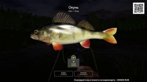ЛОВЛЯ ОКУНЯ ИГРА РР4 РУССКАЯ РЫБАЛКА 4