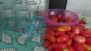 Михалыч и жулики) Летние хлопоты.