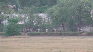 20.07.2025г скачка № 11 Приз "Браслета"