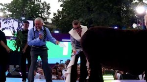 Елена Кукояка с дочкой Василисой и мужем Денисом (он внутри лошади) VK Фест 2025 19, 20 июля