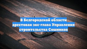 В Белгородской области арестован экс-глава Управления строительства Сошников