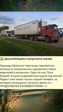 D_386_������ Дальнобойщика похоронили заживо_O
