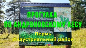 Прогулка по сказочным местам Андроновского леса города Перми
