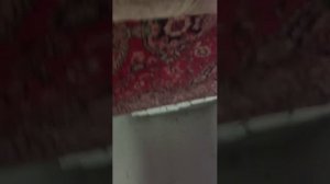 асмр