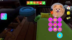 НОВЫЕ КАКАЮЩИЕ КОТИКИ ! КАКАШКИ НА ОСТРОВЕ ! ВЕЧЕРИНКА КОТИКОВ В РОБЛОКС | ROBLOX