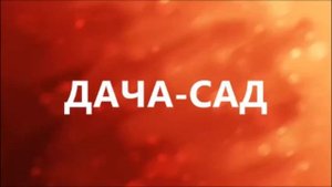 Полезные советы на кухне