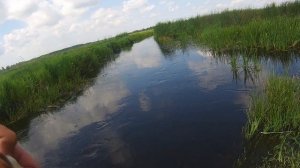 Нашёл Заливчик, а там Стоят Злобные щуки. Рыбалка на Спиннинг 2025