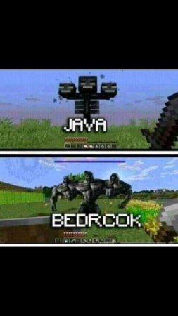 scene_output.mp4