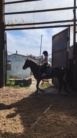 Лера и Аквилон, очень старательно едет облегченной рысью в манеже.