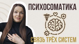ПСИХОСОМАТИКА: как это работает? Связь 3х систем.