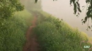 Истории из жизни - В поисках своего принца... Аудио рассказ