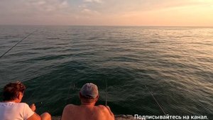 ДИВНОМОРСКОЕ ❤️ МОРЕ 🏖️ПЛЯЖ🦈 РЫБАЛКА