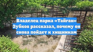 Владелец парка «Тайган» Зубков рассказал, почему он снова пойдет к хищникам