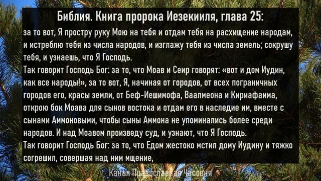 НЕ РАДУЙСЯ БЕДЕ ВРАГА, ИНАЧЕ С ТОБОЙ ПРОИЗОЙДЕТ ЭТО смотреть онлайн