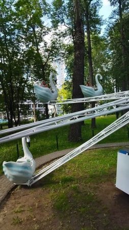 Лебеди. Парк Горького